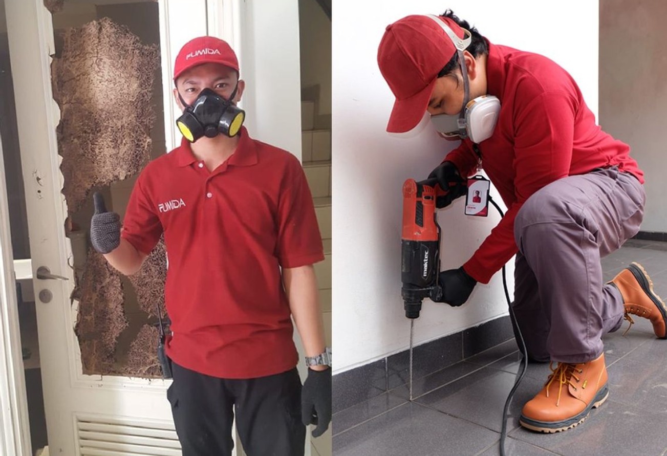 Read more about the article Perhatikan 4 Poin Berikut Sebelum Memilih Jasa Anti Rayap